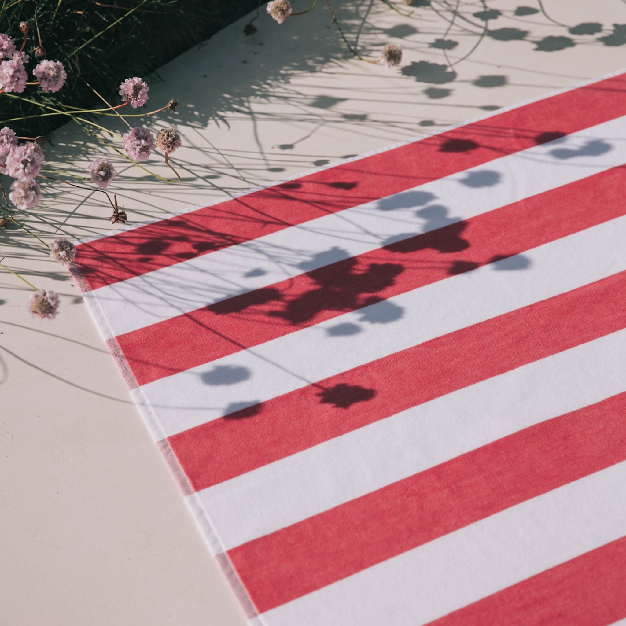 Pink Gibalta - Torres Novas