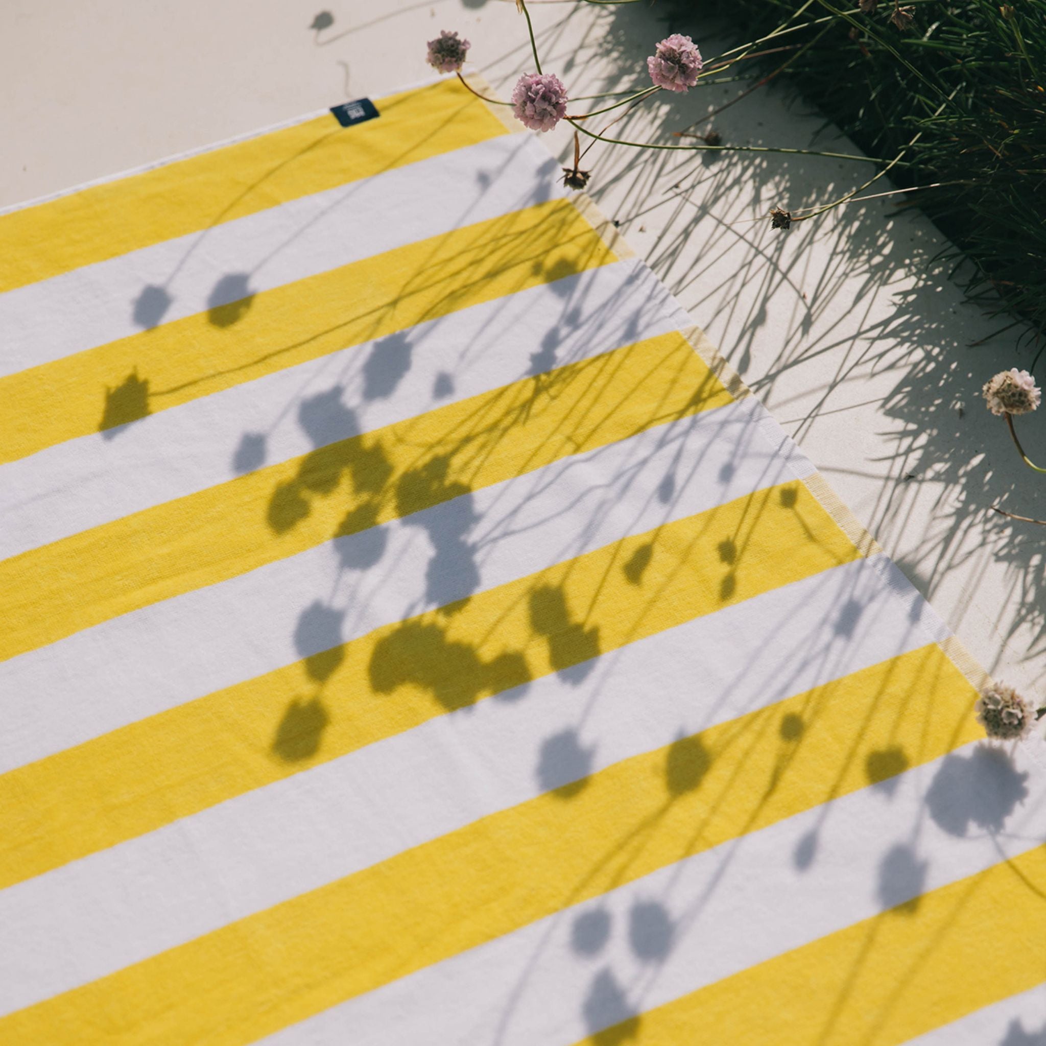 Gibalta individual - Torres Novas