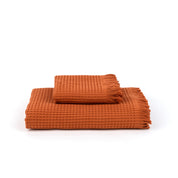 Santana terracotta