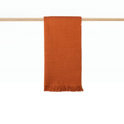 Santana terracotta