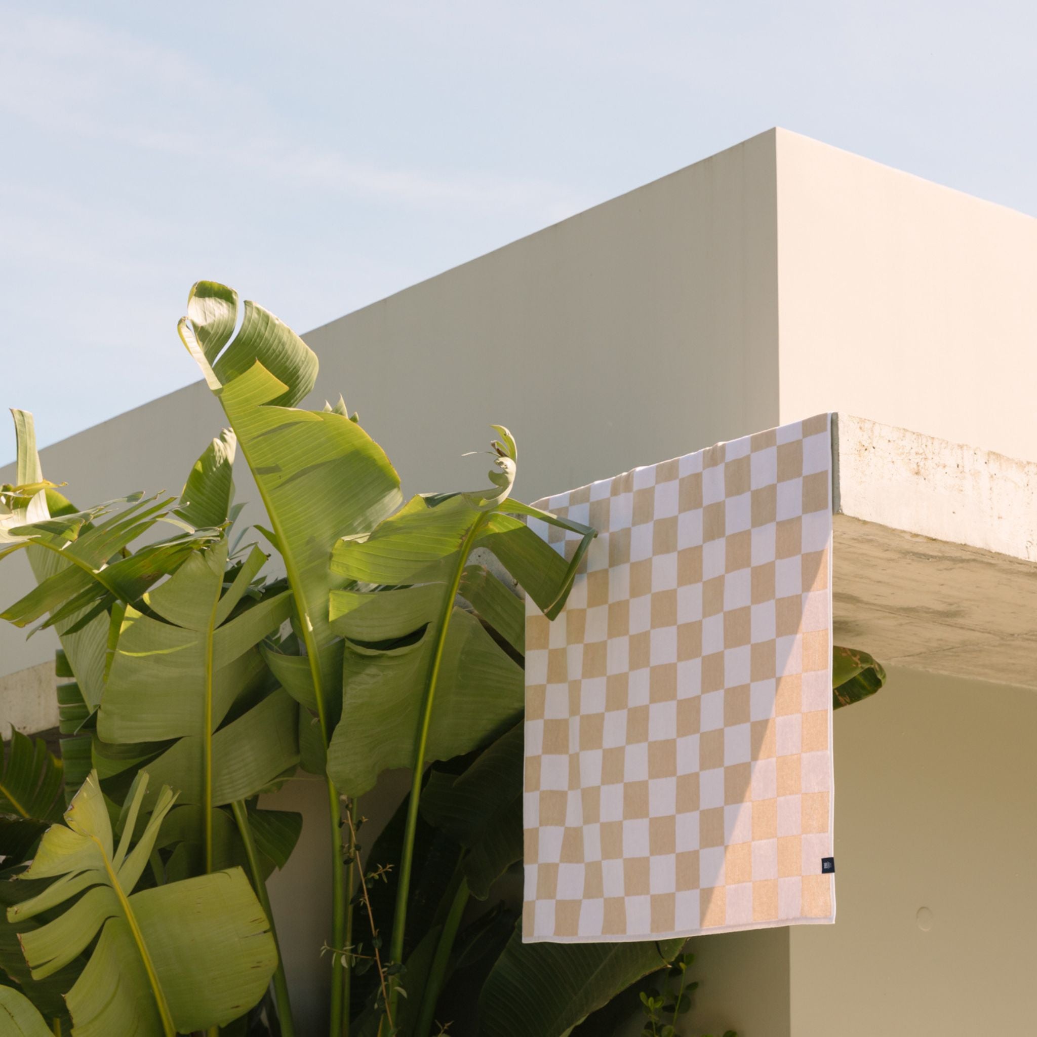 Beige chequered Gibalta