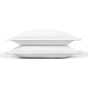 Foz Percale 400 TC - Torres Novas