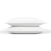 Foz Percale 400 TC - Torres Novas