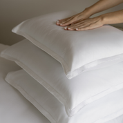 Foz Percale 400 TC - Torres Novas